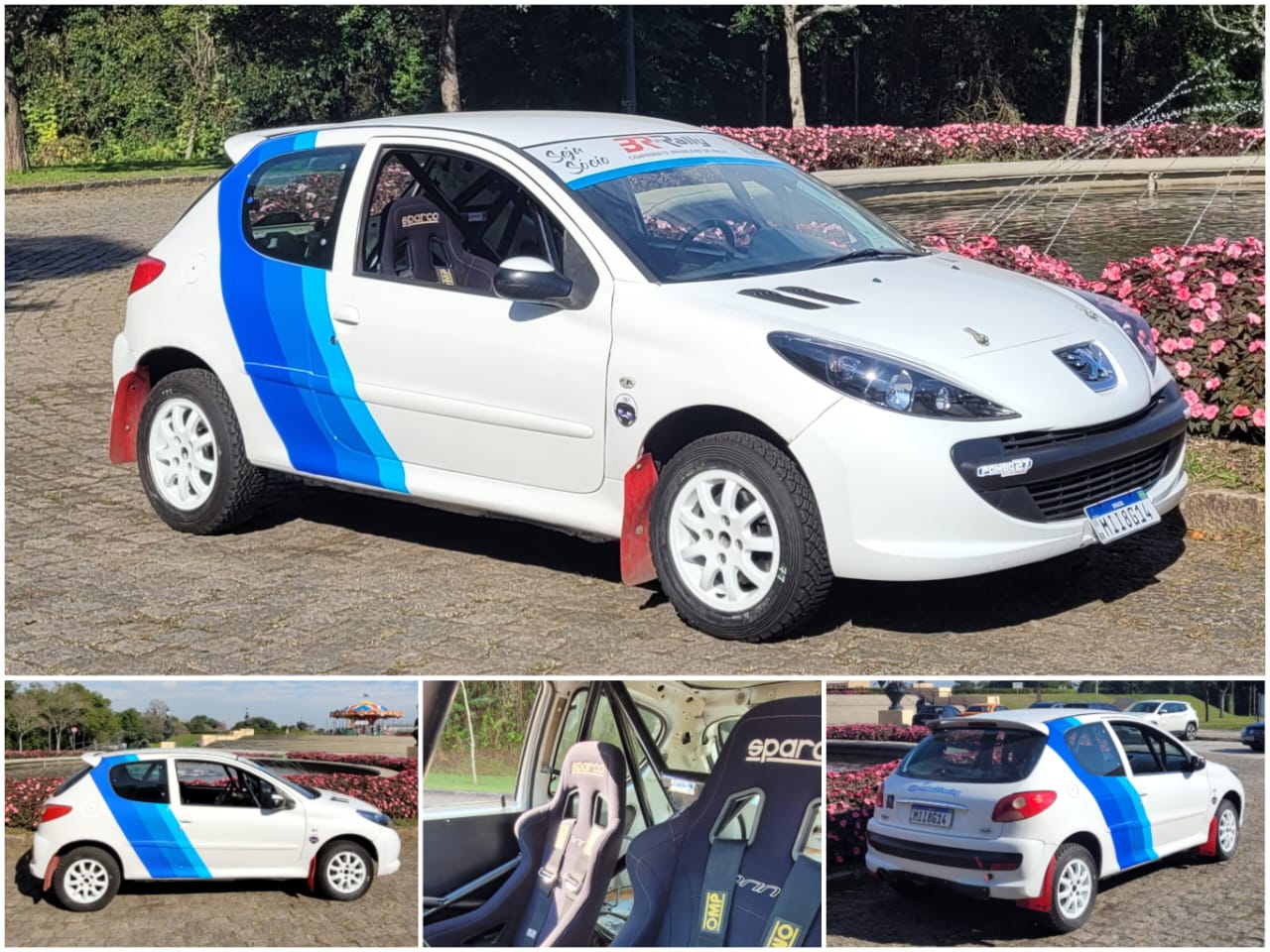 Peugeot 207 Rally 5