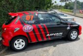 Peugeot 207 Rally 4