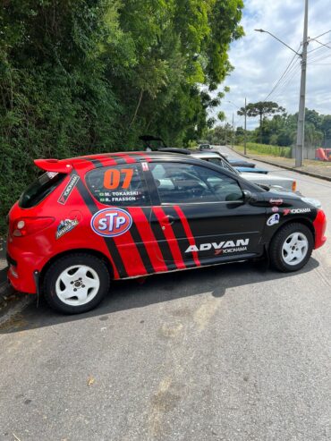 Peugeot 207 Rally 4
