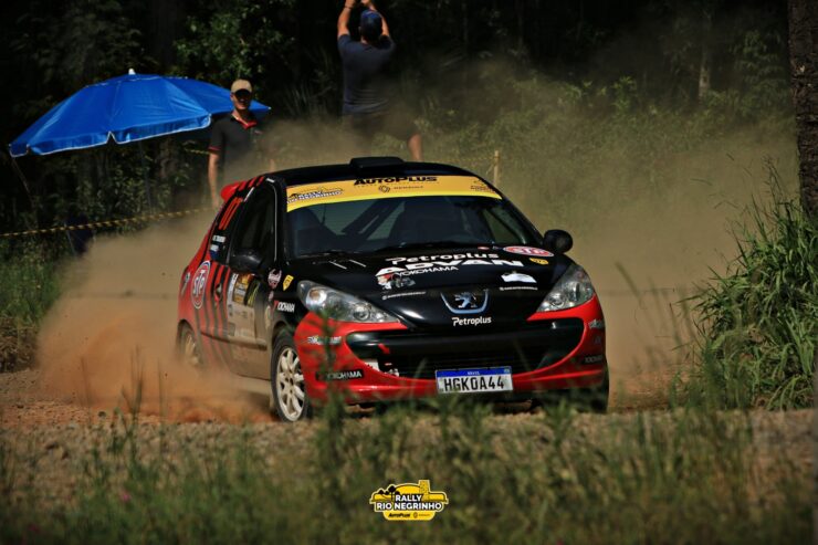 Peugeot 207 Rally 4