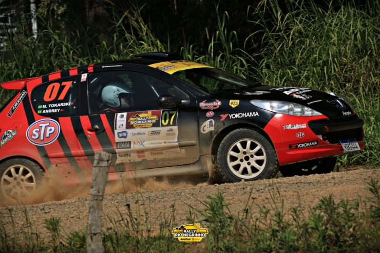 Peugeot 207 Rally 4