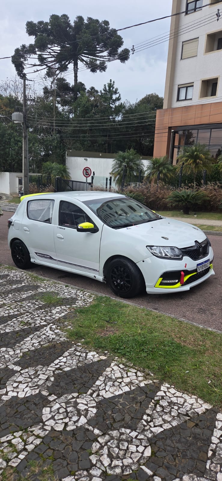 SANDERO RS TRACKCAR (Rally/Endurance)