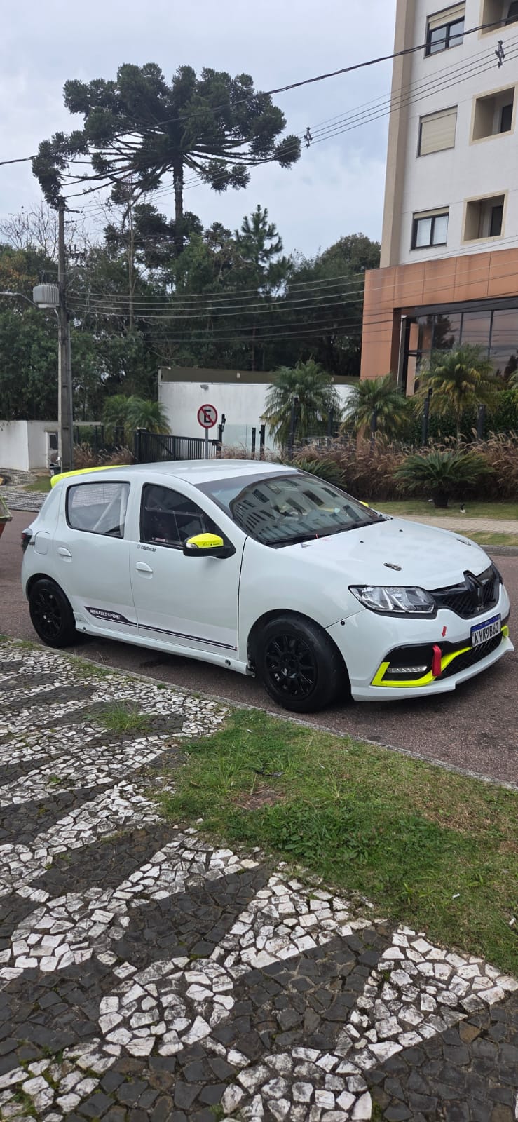 SANDERO RS TRACKCAR (Rally/Endurance)